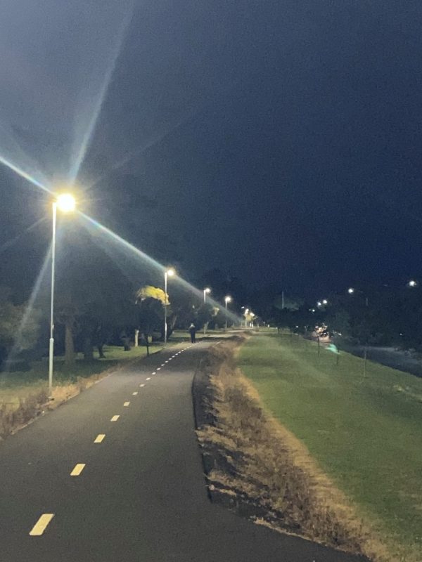 solar pathway lights trail