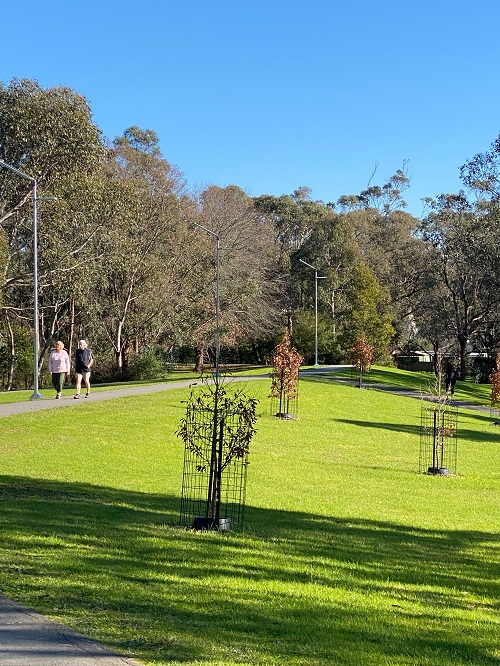 solar-park-lighting-solutions-safer-spaces-solar-lights-elizabeth-bridge-reserve