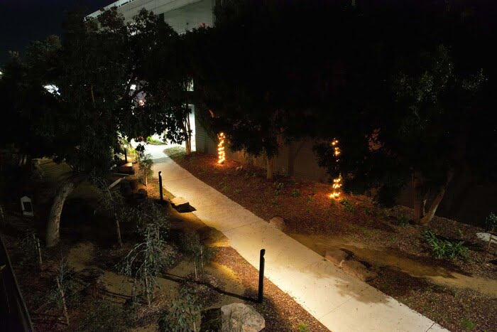 Leadsun park lights illuminate the way for increased safety.