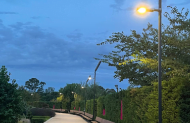 Sustainable solar path lights illuminate the Garden for the Future