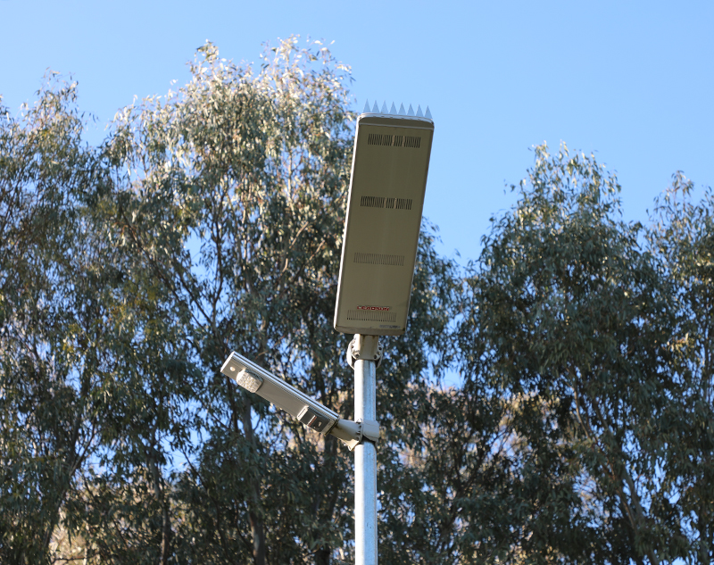 Wodonga pathway solar lighting
