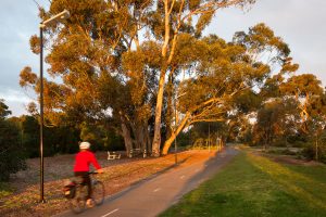 solar pathway lighting