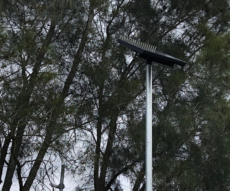 ANSTO Lucas Heights solar lighting