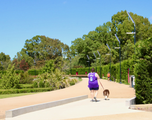Leadsun's solar pathway lights were the perfect choice for the Garden for the Future.