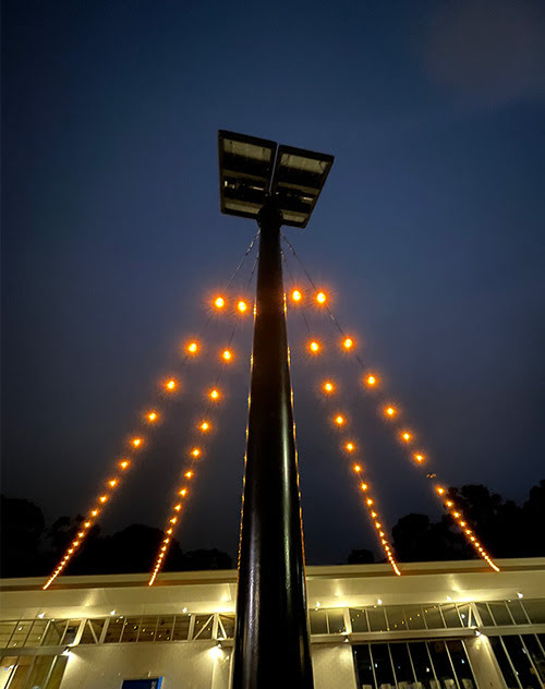 Custom festoon lights crafted in collaboration with Firefly